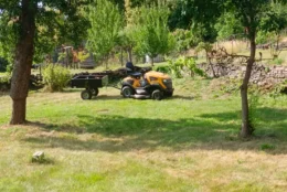 Revitalizace zahrady