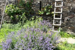 Kamenná zeď stodoly