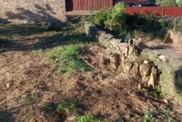 Terénní práce a likvidace náletových dřevin